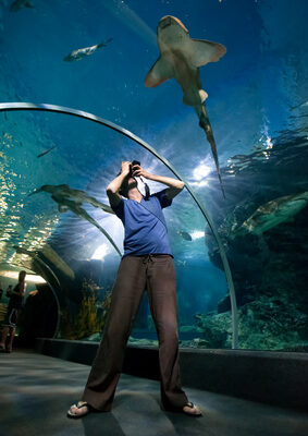 Étanchéité aquarium géant