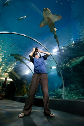 Étanchéité aquarium géant